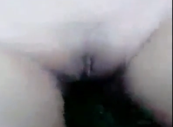 Staf Dan Karyawan Perkebunan Kelapa Sawit